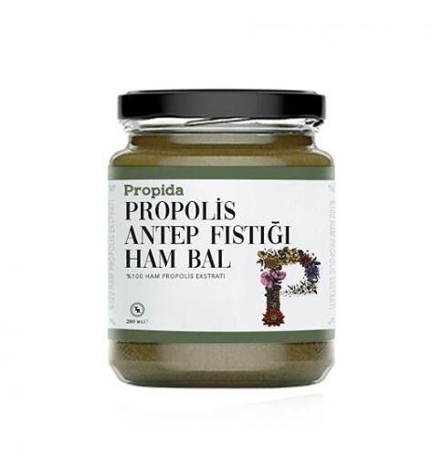 Queenida Propida Antep Fıstığı