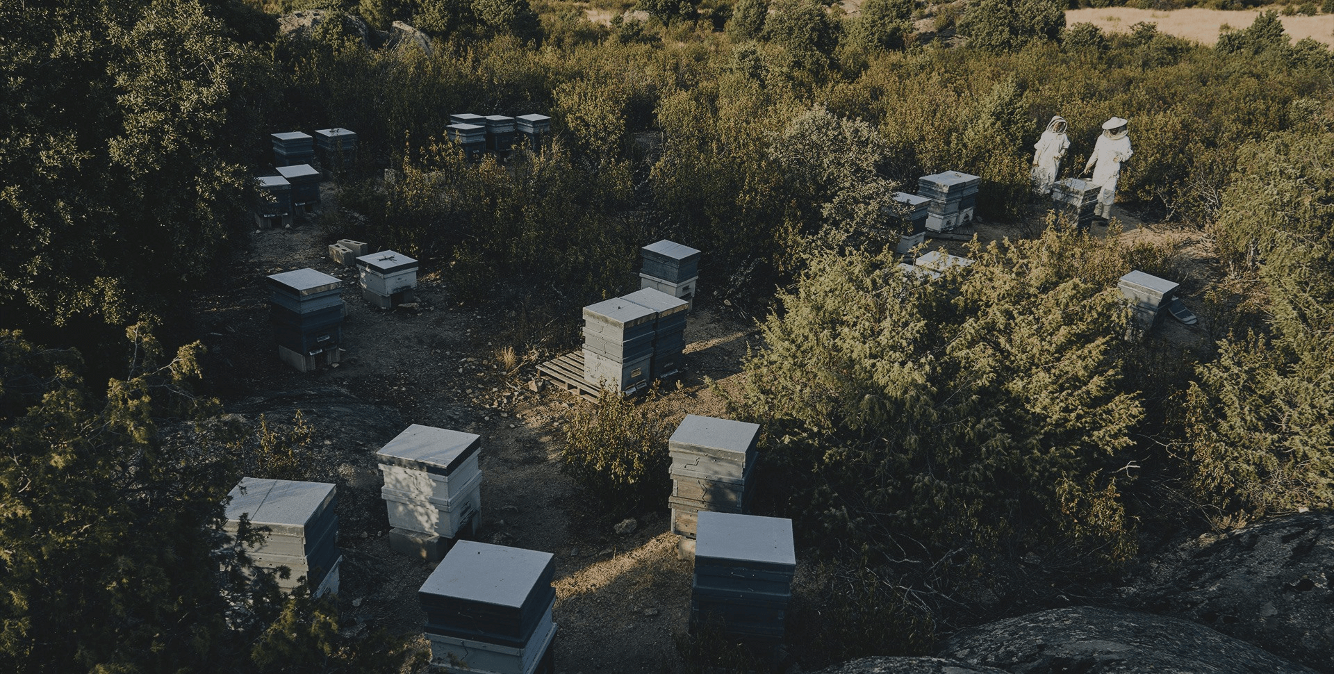 KANAT ÇIRPARAK ÖZENLE.<br><span>TAA TEPELERDEN 1774 METREDEN.</span>